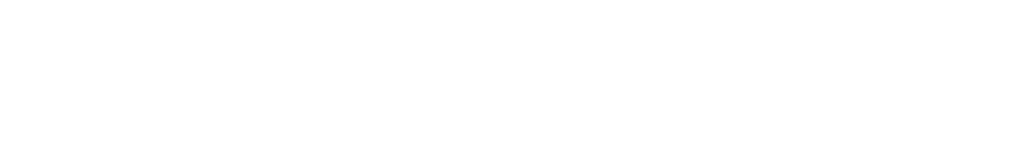 VisionPlanner